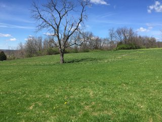 Property photo 23 - REAL ESTATE & LAND AUCTION - 105+/- ACRES IN 4 TRACTS IN BUTLER COUNTY, OHIO